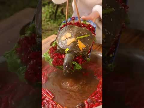 【村里一枝雪妹妹】水浅王八多，遍地是大哥，表叔家的鱼塘里王八真的多，做一个甲鱼火锅真的巴适#美食分享#农村生活 #shorts