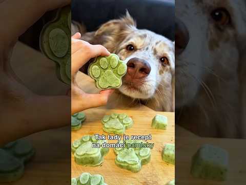 Domácí pamlsky pro svěží dech psa🌿🐶