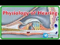 Cochlear Function and Anatomy