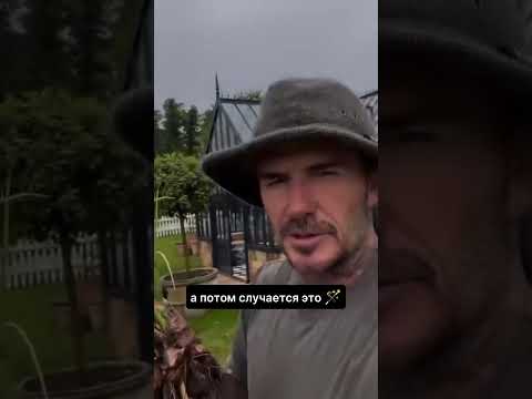 Ставь + Вышлем Каталог и цены. Доставка по всей России #модульныйдом #баня #стройка #дом