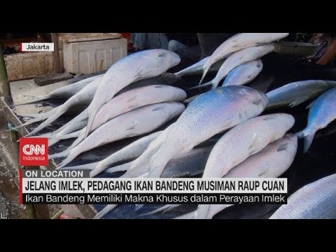 Jelang Imlek, Pedagang Ikan Bandeng Musiman Raup Cuan