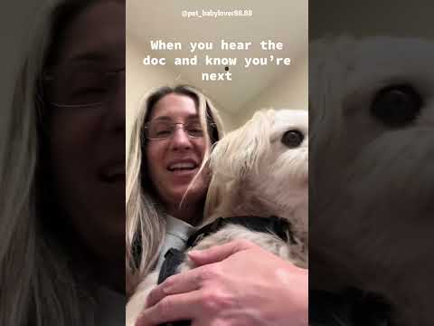 When your dog gets his first shot🐶#dog #funny #cute #funnyvideos