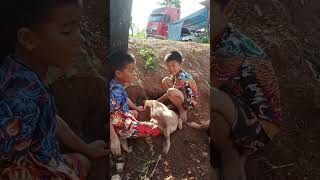รถแม็คโครเด็กๆ