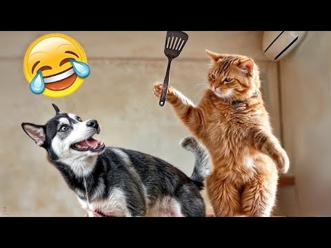 Hilarious Cat & Dog Clips 2025 😂 Funny Pet Videos😸🐕🐈