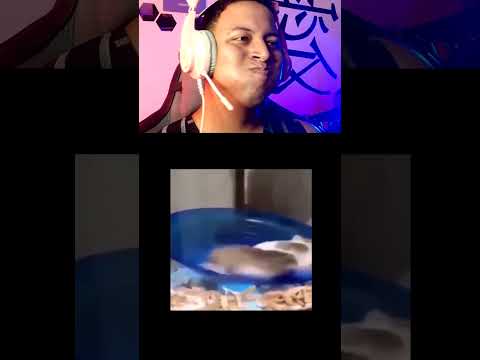 tente não rir 92