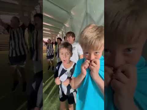 image para ilustrar o artigo