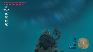 Breath of the Wild: My Experience