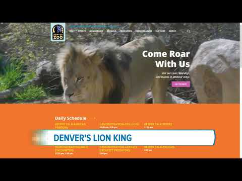 download lion king promo code ticketmaster