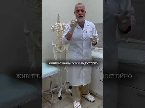 ( Ан - Ниса | Женщины/19) Доктор Мохамад Хамед . #ислам #сунна #хадис