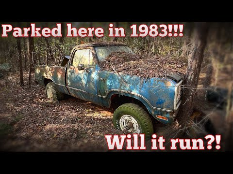 ABANDONED Dodge Power Wagon! Will it RUN after 41 Years?!