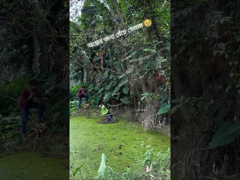 অল্পের জন্যে বেচে গেলো #cobra #snake