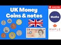 Understanding Money and Currency Concepts