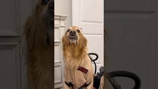 We thought it was a monster….we were wrong!