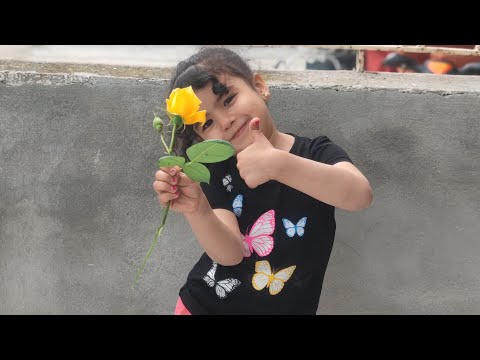 سلام عليكم