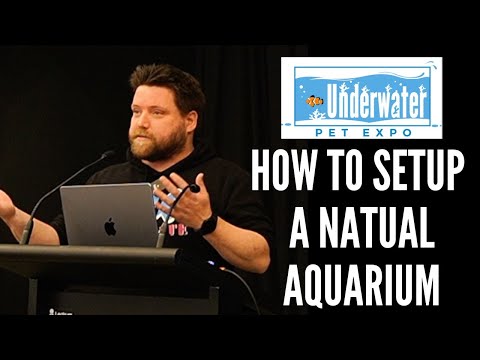 How to Setup a Natural Aquarium | Live Underwater  This is the live underwater pet expo presentation i put together on the 15/10/22

#underwaterpetexpo
