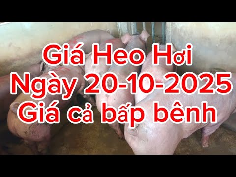 Giá cả bấp bênh