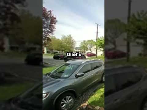 Pizza Guy Stops Thief