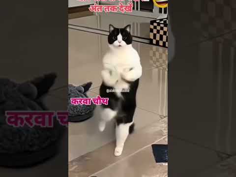 करवा चौथ कॉमेडी4 October 2025