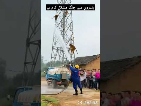 Fighting With Monkey | Bandar Se Larai