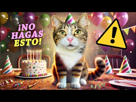 ⚠️ ¡EVITA HACER ESTO EN EL CUMPLEAÑOS DE TU GATO! 🙀🎉🎂🎁🎈