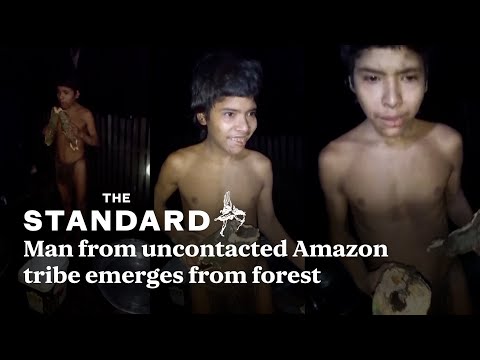 Watch moment man from uncontacted Amazon tribe emerges from forest in Brazil