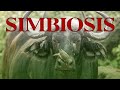 Kuis Simbiosis