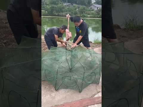 "Gone Fishing 🐬– Came Back with a Surprise!"😲😨#shorts #trending #fishing #fish #food #youtubeshorts