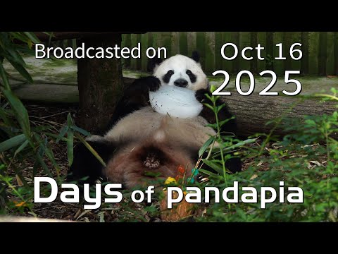 20251016 Broadcast Top Highlights 05