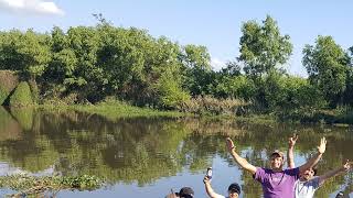 Musicas Del Mercosur