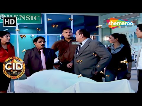 Honey Bee की केस की उलझन में कैसे फँस गयी CID Team || CID - Hindi Crime Show | New Episode