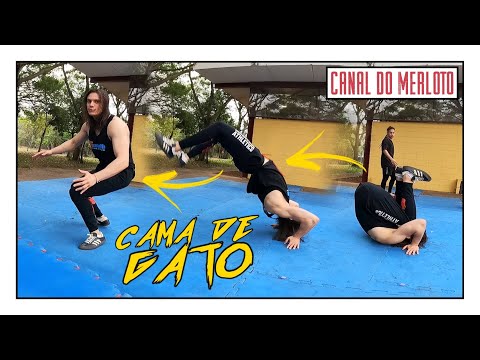 ACROBACIAS PARA INICIANTES: ESTRELINHA, MACAQUINHO, PEÃO DE MÃO E CAMA DE GATO ⚡