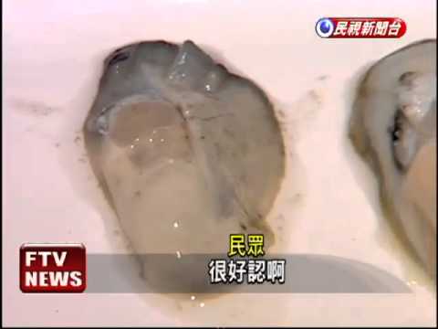 獨家踢爆綠牡蠣真相！揭海岸線重金屬污染（壹電視新聞） - YouTube(2分22秒)