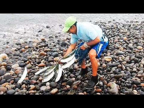 Estos Hombres sacan sus Redes del mar Agitado y no se imaginan la Sorpresa que se llevarán.