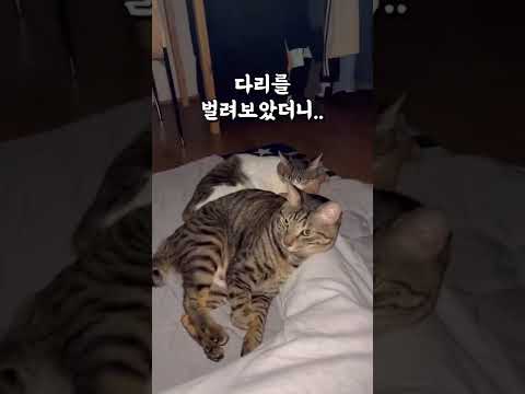 새벽에 다리 저림 원인