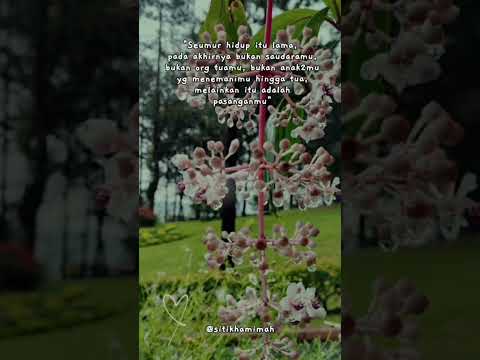 Motivasi kehidupan#fyp #motivasiharianku #kehidupanseharihari