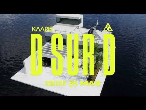 Kaaris - D SUR D (Official Visualizer) feat. @TRIANGLEDESBERMUDES 
