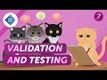 Navigating Customer Feedback for Product Validation