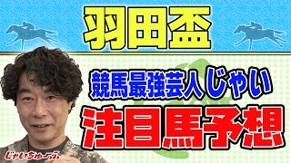 【競馬】羽田盃でのじゃいの思考【勝ち馬予想】