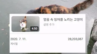 이 영상에는 알리지 않았던 사실이 있다