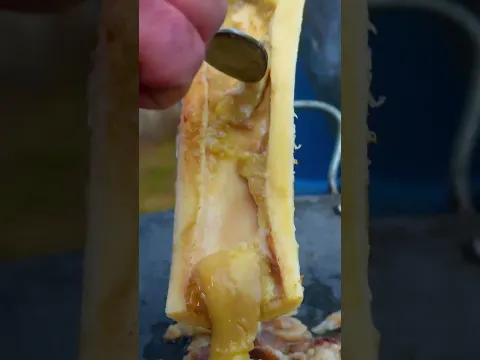 Roasted Bone Marrow Toast: A Rich and Warm Delight