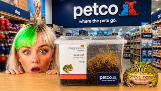 I Bought a Desk Pet From Petco....and this happened 