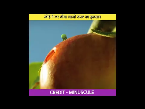 कीड़े ने कर दिया लाखों रुपए का नुकसान 😱 - #shorts #viral @MRINDIANHACKER @CrazyXYZ