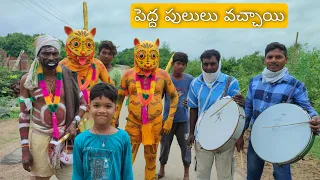 పెద్ద పులులు వచ్చినయి | Pedda Pululu Vachinayi | Kannayya Videos | Trends adda Vlogs