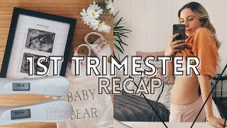 Finding out I'M PREGNANT | Telling Family, 1st Trimester Recap & Future Plans