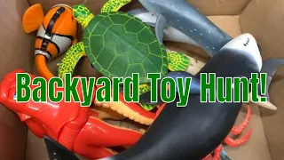 Backyard Ocean Toy Facts!