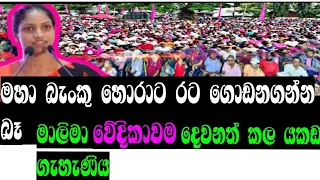 මාලිමා වෙදිකාවම හොල්මන් කල යකඩ ගැහැණිය #අනුර#srilankanews #npp#akd#malimawa#මාලිමාව#jvp