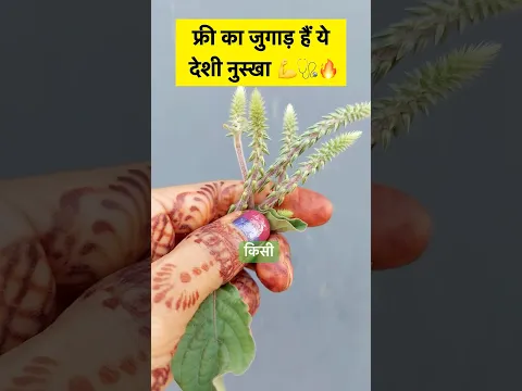 🌿 #facts #plant #farming