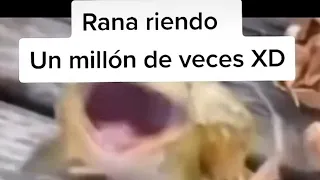 Rana riendo 1 millón de veces