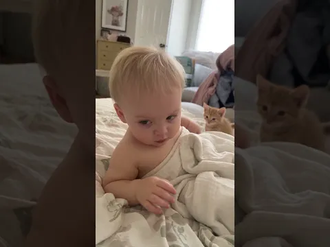 Kitten Tries to Wake Up Sleeping Baby 🐱💤 (AI Short)