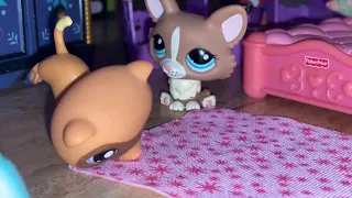 LPS | LOS AMIGOS